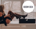 BDSM Sex Toy Box XL and XXL size for storage, Sex Anniversary Gift product logo