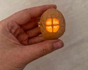 Empty Walnut Shell Dollhouse: Miniature Scene with Window