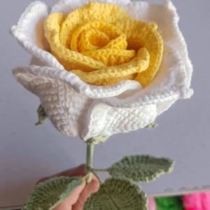 May include: A crocheted white rose with a yellow centre and green leaves. The rose is being held in a hand.