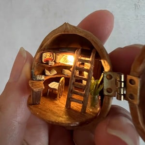 May include: A miniature wooden house with a desk, chair, bookshelf, and ladder, built inside a walnut shell. The shell is open and the interior is lit with a small light bulb.