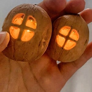 May include: Two brown walnut shells, each featuring a small, square-paned window cutout. A warm, glowing orange light emanates from within both shells, illuminating the textured, organic surface of the walnut exteriors against the dark background.