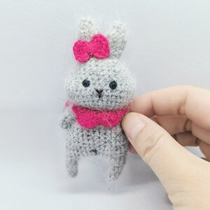 May include: A small gray crocheted bunny with pink ears, a pink bow, and a pink collar.