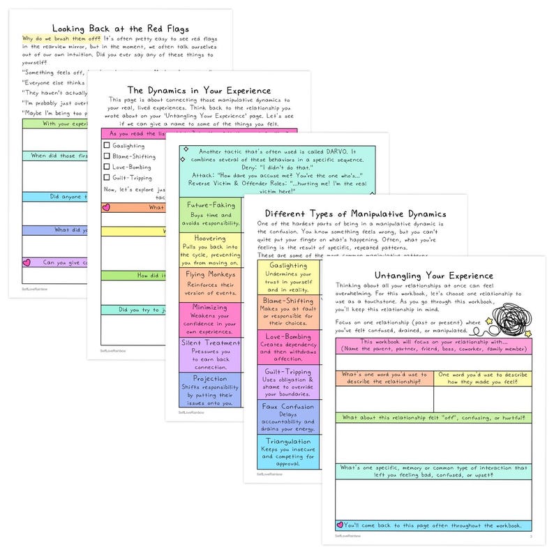May include: A workbook titled "Untangling Your Experience" with pages on red flags, manipulative dynamics, and relationship analysis. Includes sections on gaslighting, blame-shifting, and love-bombing.