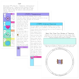 May include: A colorful infographic with the acronym TIPP, which stands for Temperature, Intense Exercise, Paced Breathing, and Progressive Muscle Relaxation. The infographic explains how to use each technique to help manage stress and anxiety. The infographic also includes a diagram of a window of tolerance, which is a concept used in mental health to describe the range of emotions and sensations that a person can tolerate.