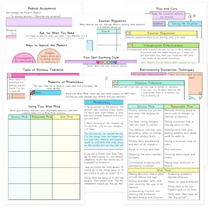 May include: A collection of colorful, handwritten notes on various mental health topics, including emotion regulation, mindfulness, and distress tolerance. The notes are on white paper with colorful highlights and diagrams.