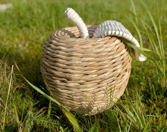 An Apple/basket