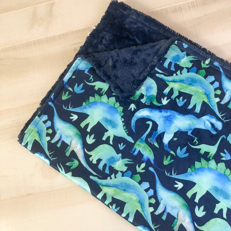 dinosaur minky blanket