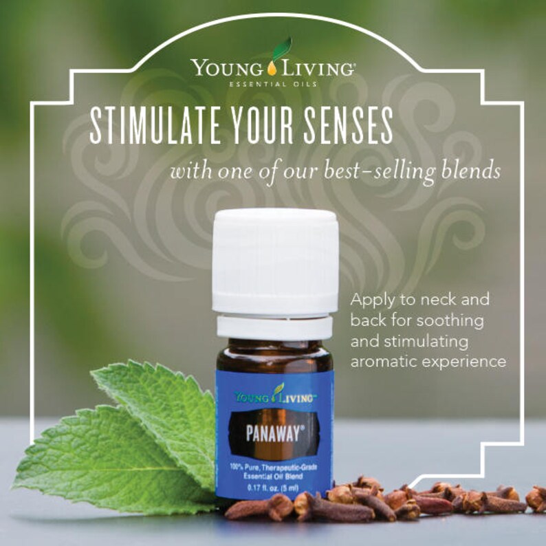 Young Living Panaway Essential Oil sample 1mL 1.5mL 2mL Etsy