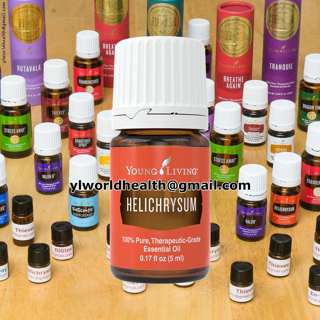 Young Living Helichrysum Essential Oil sample 1mL 1.5mL Etsy