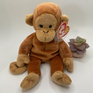 May include: A brown beanie baby monkey with a red and white tag that says "Ty" and has a star on it. The monkey is sitting on a white surface.