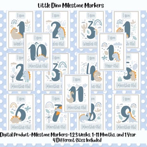 Ensemble de marqueurs d'étapes clés/cartes d'étapes importantes à imprimer pour bébé Little Dino Baby/accessoires photo bébé/téléchargement numérique/lot de 15 cartes d'étapes clés