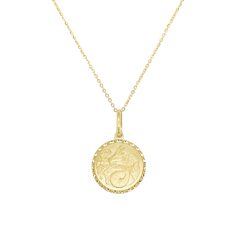 Joelle Zodiac Sign Necklace 14k Gold Coin Pendant 16-18 | Etsy