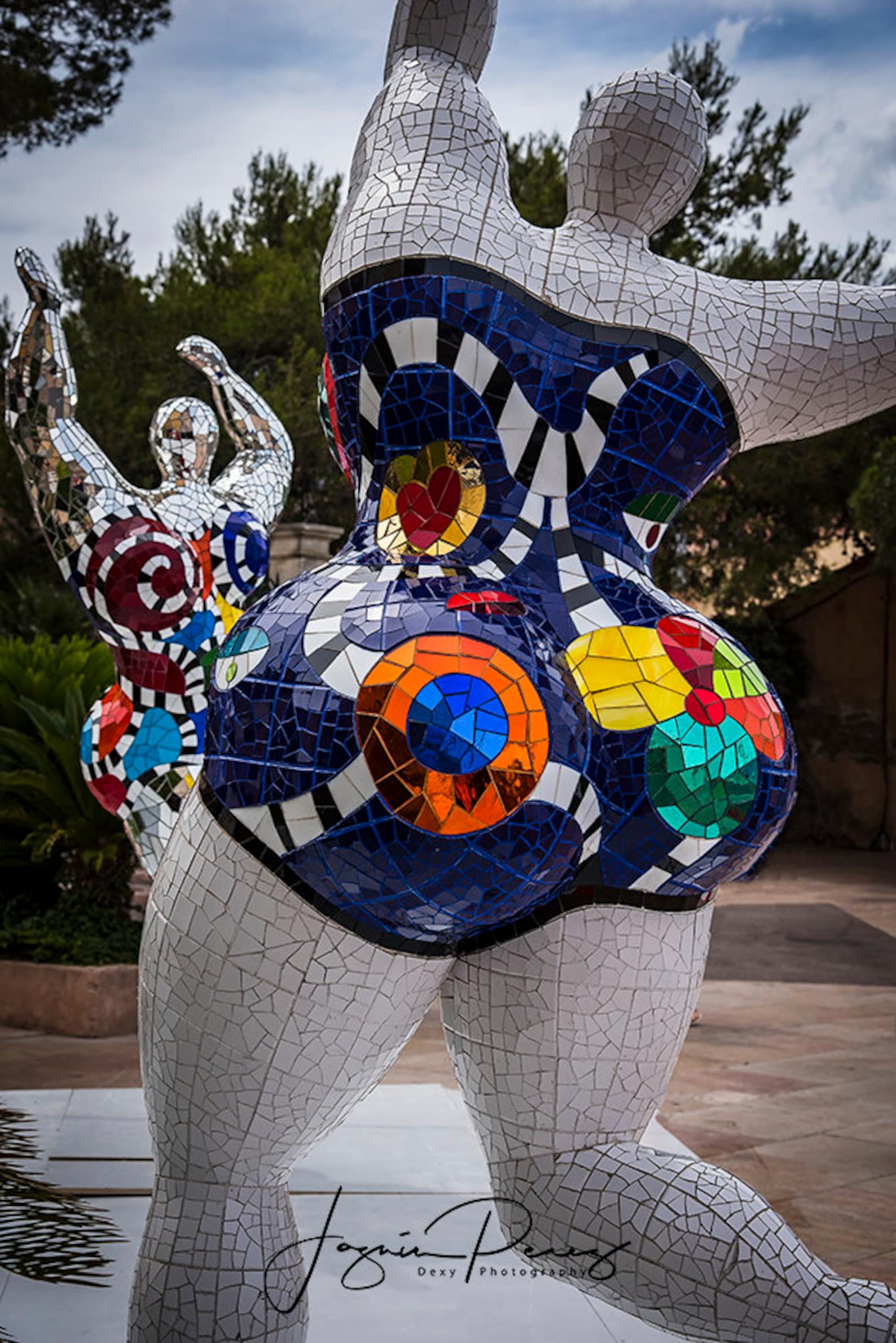 Toile de sculptures Niki De Saint Phalle | Etsy