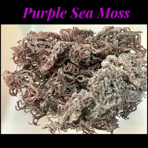 St Lucia Purple Sea Moss