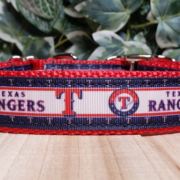 Dog Collar, Texas Rangers Dog Collar, 1" Dog Collar, Metal Buckle Collar, Martingale Collar