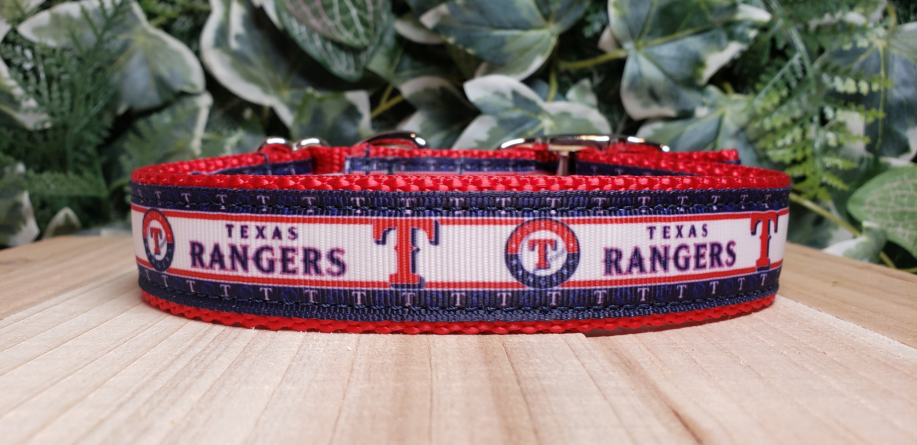 Texas Ranger Dog 