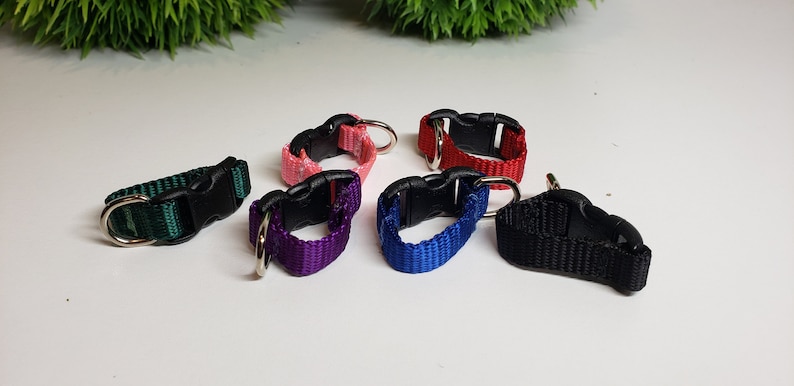 May include: A collection of small, colorful pet collars. The collars are made of woven nylon and feature a black plastic buckle and a metal ring. Colors include green, pink, red, purple, blue, and black.