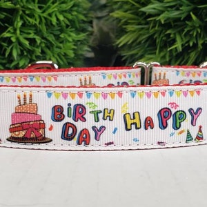 Dog Collar, Happy Birthday Dog Collar, 1&quot; Dog Collar, Metal Buckle DOg Collar, Martingale Collar, Half Check Chain, Birthday Collar