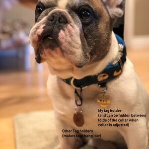 May include: A French Bulldog wearing a blue and green patterned collar with a metal tag holder and two hanging tags. The dog has a white and brown coat. The text on the image says "My tag holder" and "Other Tag holders".
