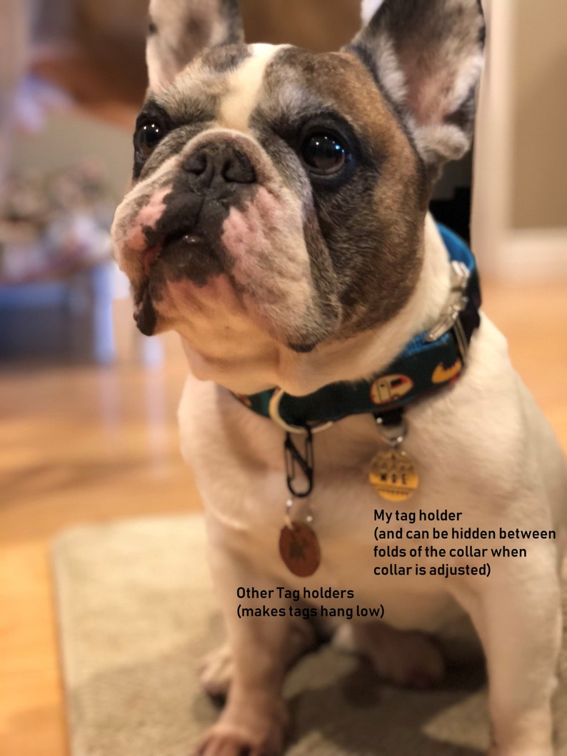 May include: A French Bulldog wearing a blue and green patterned collar with a metal tag holder and two hanging tags. The dog has a white and brown coat. The text on the image says "My tag holder" and "Other Tag holders".