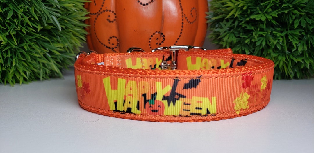 Dog Collar Halloween Dog Collar Fall Dog Collar 1 Dog Etsy
