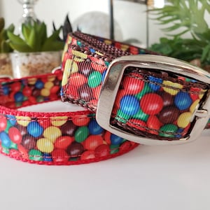 Può includere: Due collari per cani con un colorato motivo a caramelle. I collari presentano una base rossa con un motivo ripetuto di caramelle rosse, gialle, blu e marroni. Un collare è fissato con una fibbia in metallo argentato.