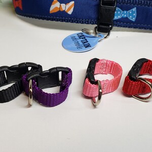 May include: A collection of colorful dog collar accessories, including green, black, purple, pink, red, and blue loops with metal D-rings. A blue collar with bow tie patterns is visible in the background.
