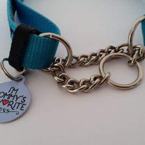 May include: A blue and black dog collar with a silver chain and rings. A small, oval tag with the text "I'M MOMMY'S FAVORITE" is attached. The tag has a red heart and decorative swirls.