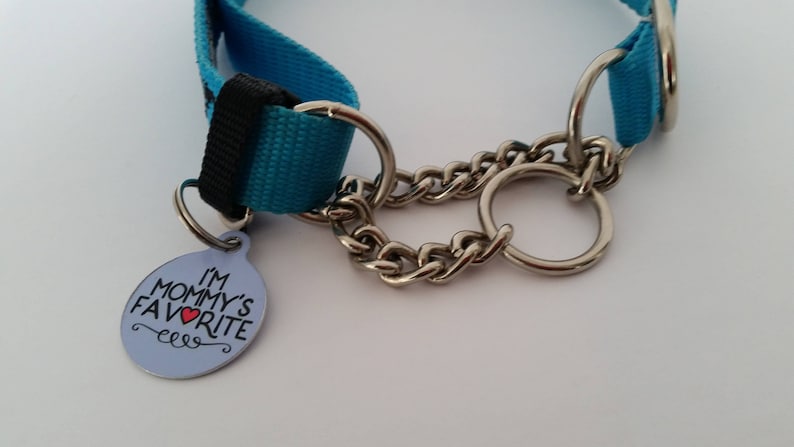 May include: A blue and black dog collar with a silver chain and rings. A small, oval tag with the text "I'M MOMMY'S FAVORITE" is attached. The tag has a red heart and decorative swirls.