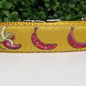 Dog Collar, 1&quot; Metal Buckle Dog Collar, Bananas Dog Collar, Matching Leash, Martingale Collar, Half Check Chain, Cute Dog Collar