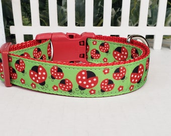 Dog Collar, Ladybug Dog Collar, 1" Dog Collar,  Summer Dog Collar, Big Dog Collar, Cute Dog Collar, Ladybugs