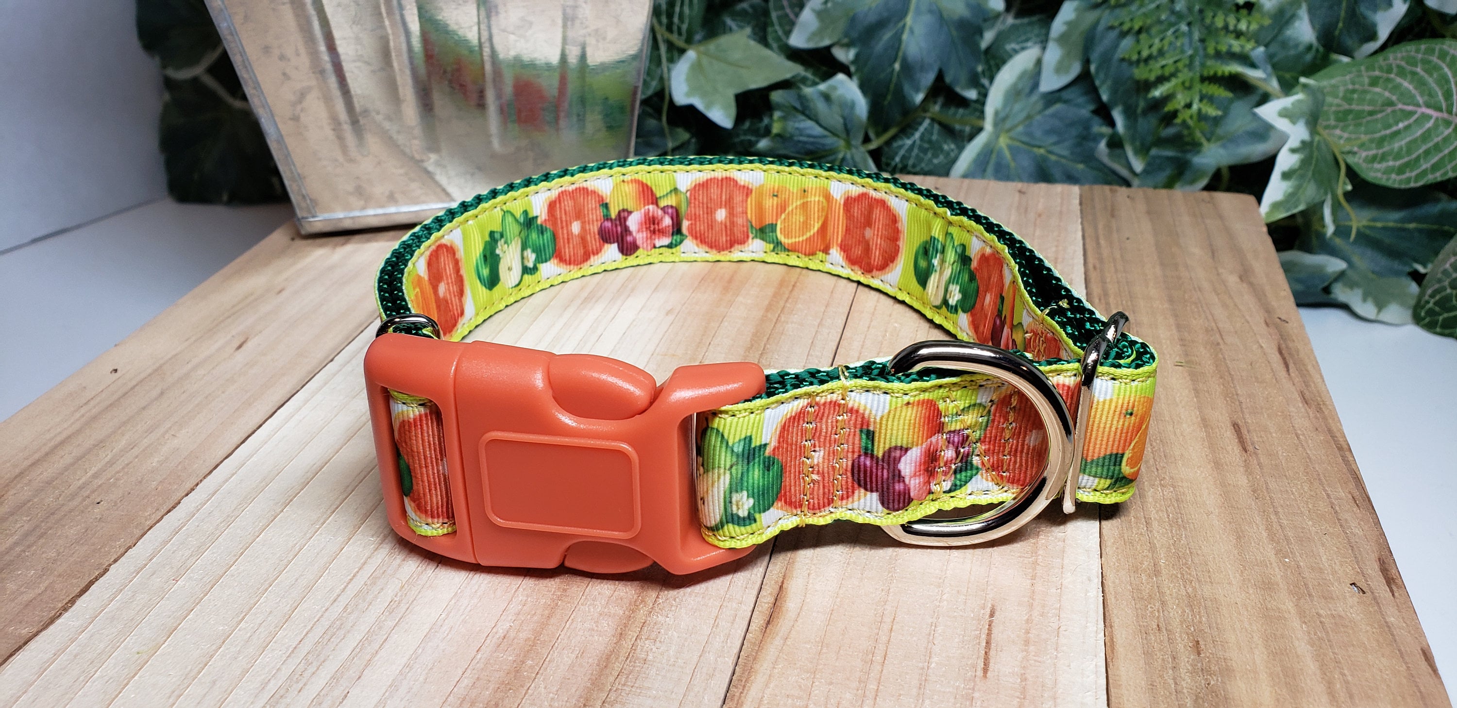 Dog Collar Citrus Dog Collar Fruit Dog Collar Fun Dog Etsy
