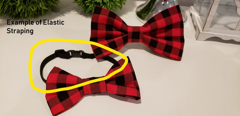 Example of Adjustable Elastic Strap.