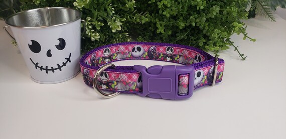 Metal buckle dog clearance collar