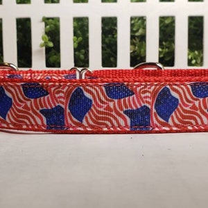 Dog Collar, 4th of July DOg Collar, 1&quot; Dog Collar, Holiday Dog Collar, Flag Dog Collar, American Dog Collar, Martingale, Metal Buckle
