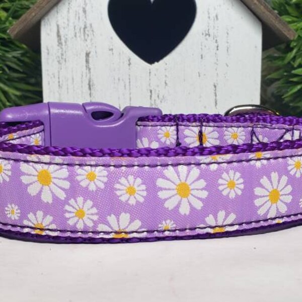 1" Dog Collar, Daisy Dog Collar, Big Dog Collar, Daisies Dog Collar, Floral Dog Collar, Purple Dog Collar