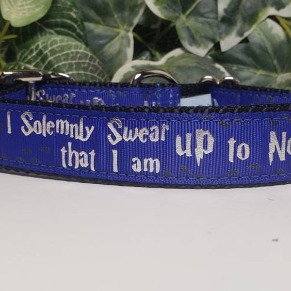 Dog Collar, I do Solemnly Swear Dog Collar, 1 inch wide Dog Collar, Big Dog Collar, Cute Dog Collar, Wizard Dog Collar