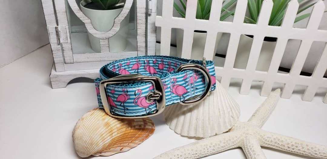 Nylon-Hundehalsband – Flamingo-Muster, Größe S (25–38 Cm Halsumfang), Mit Schnellverschluss, Waschbar