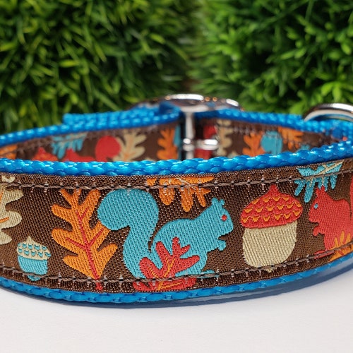 Squirrel Dog Collar 1 Fall Dog Collar Etsy
