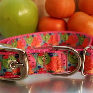 May include: A pink dog collar with a fruit pattern featuring watermelons, kiwis, and oranges. The collar has a silver metal buckle and D-ring. A green apple and oranges are in the background.