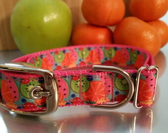 Hondenhalsband, fruitige hondenhalsband, 1" hondenhalsband, riem, citroenhalsband, fruitige hondenhalsband, tuttifrutti fruithalsband, leuke hondenhalsband