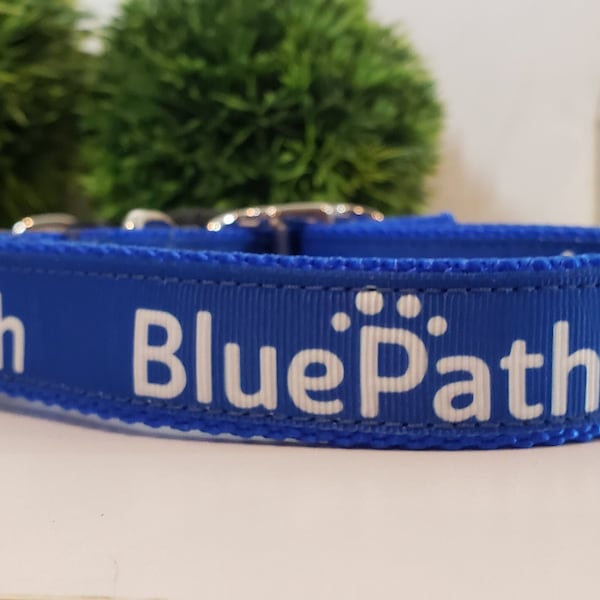 BluePath Dog Collar, 1" BluePath Dog Collar, Metal Buckle Dog Collar, Quick Release Dog Collar, Blue Path, Blue Path Dog Collar