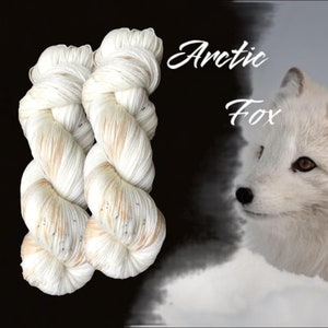 Artic Fox