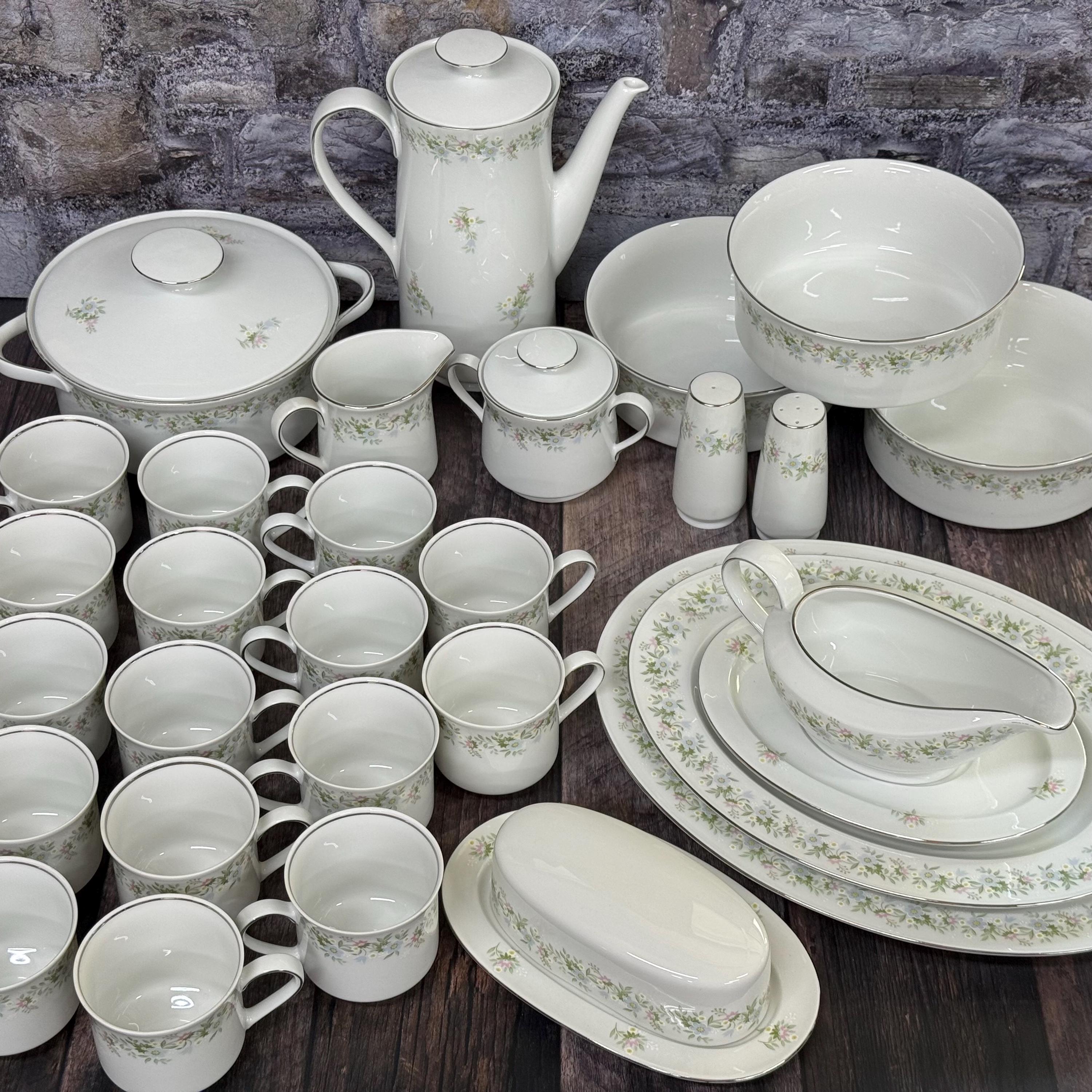 Johann Haviland Forever Spring Bavaria Germany Fine China 114