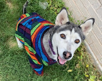 dog hoodies for dogs