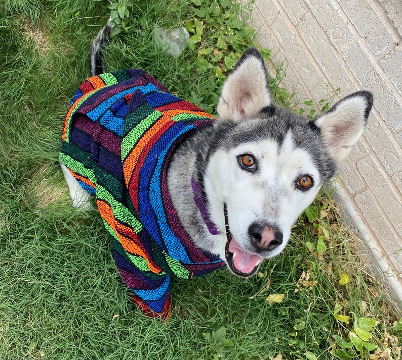 Mexican Dog Hoodie Mexican Dog Poncho Mexican Poncho Etsy