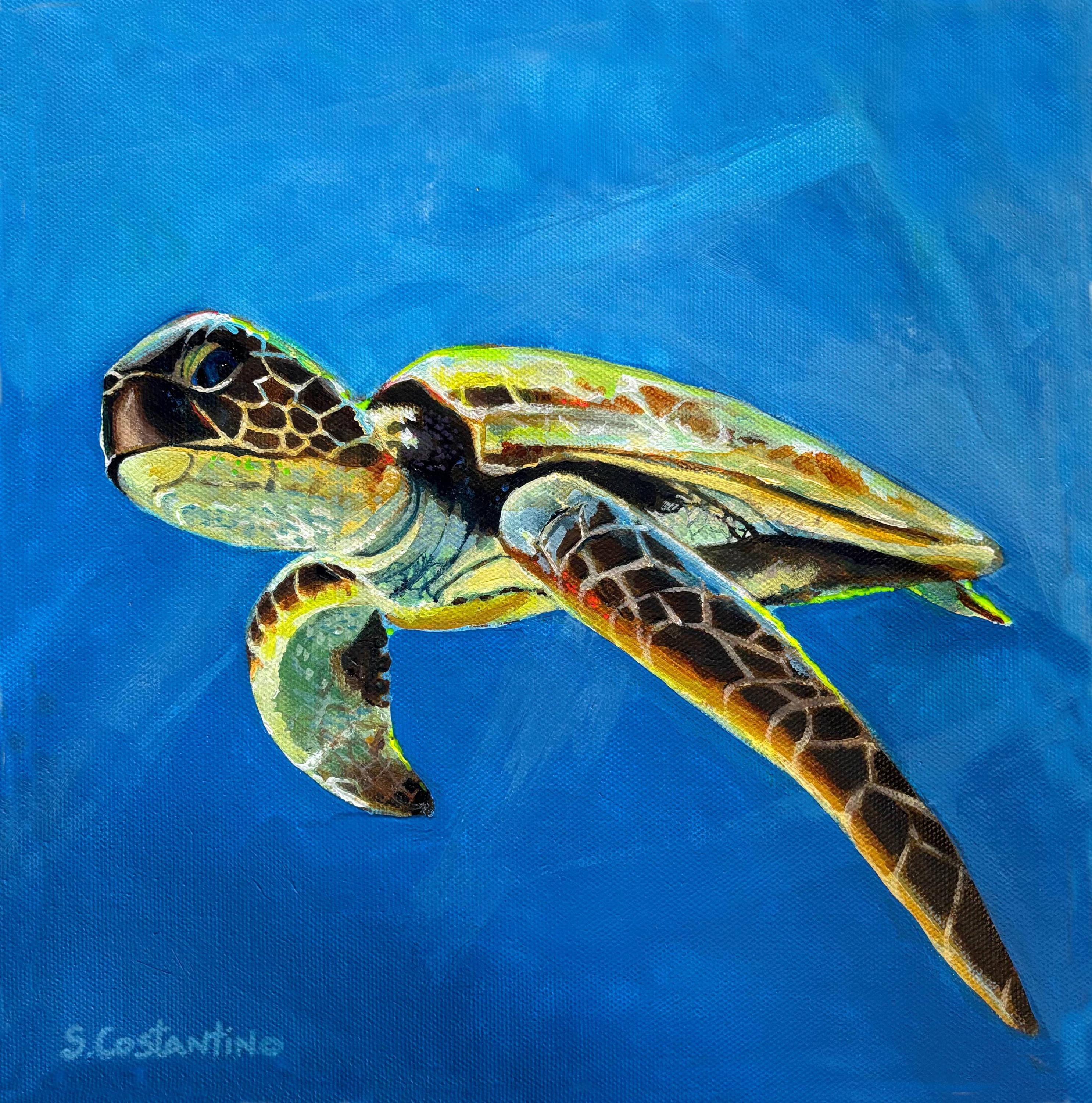 Hawaiian honu painting - Etsy 日本