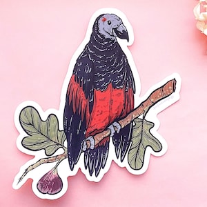Dracula Parrot Clear Vinyl Sticker