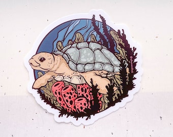 Sea Turtle Clear Vinyl Sticker