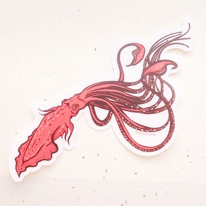 Giant Squid Clear Vinyl Sticker